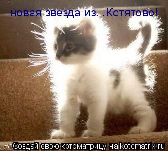 новая звезда из...Котятово!... Котоматрица: новая звезда из...Котятово!