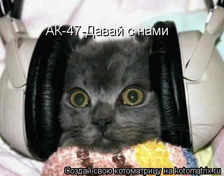 АК-47-Давай с нами... Котоматрица: АК-47-Давай с нами
