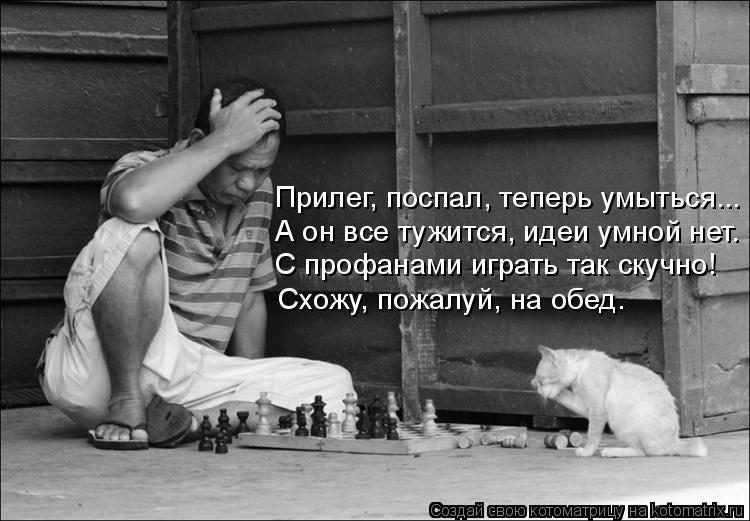 Прилег, поспал, теперь умыться... А он все тужится, идеи умной нет. С профанами играть так скучно! Сх... Котоматрица: Прилег, поспал, теперь умыться... А он все тужится, идеи умной нет. С профанами играть так скучно! Схожу, пожалуй, на обед.