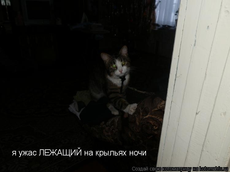 я ужас ЛЕЖАЩИЙ на крыльях ночи... Котоматрица: я ужас ЛЕЖАЩИЙ на крыльях ночи