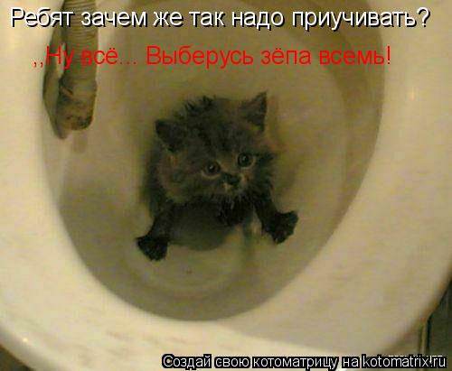 Ребят зачем же так надо приучивать? ,,Ну всё... Выберусь зёпа всемь!... Котоматрица: Ребят зачем же так надо приучивать? ,,Ну всё... Выберусь зёпа всемь!