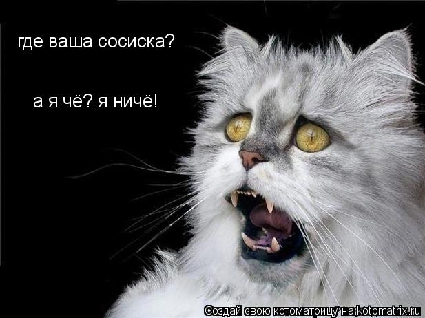 где ваша сосиска? а я чё? я ничё!... Котоматрица: где ваша сосиска? а я чё? я ничё!
