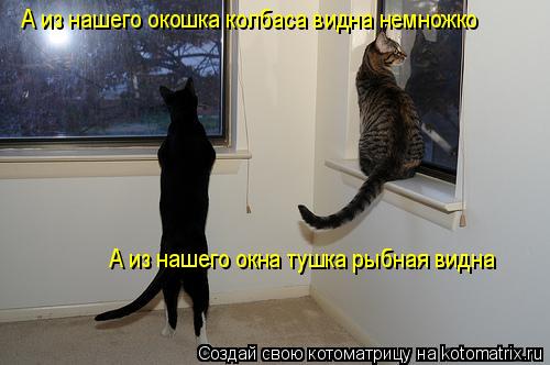 А из нашего окошка колбаса видна немножко А из нашего окна тушка рыбная видна... Котоматрица: А из нашего окошка колбаса видна немножко А из нашего окна тушка рыбная видна