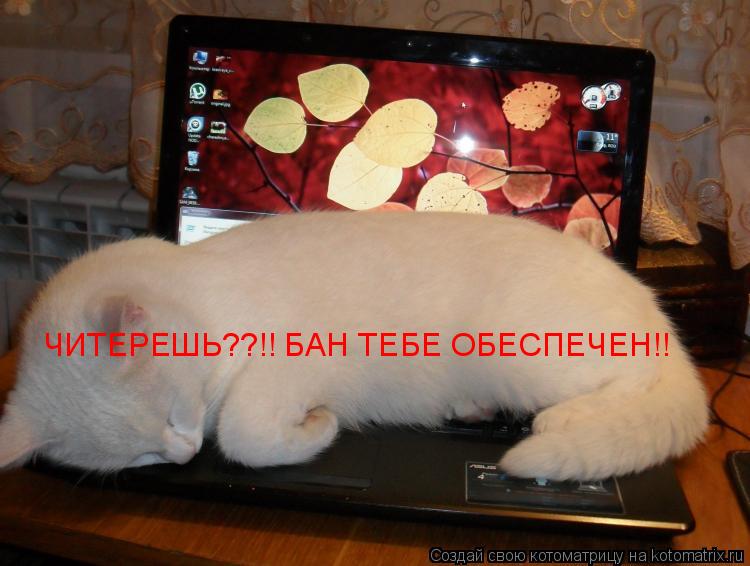 ЧИТЕРЕШЬ??!! БАН ТЕБЕ ОБЕСПЕЧЕН!!... Котоматрица: ЧИТЕРЕШЬ??!! БАН ТЕБЕ ОБЕСПЕЧЕН!!