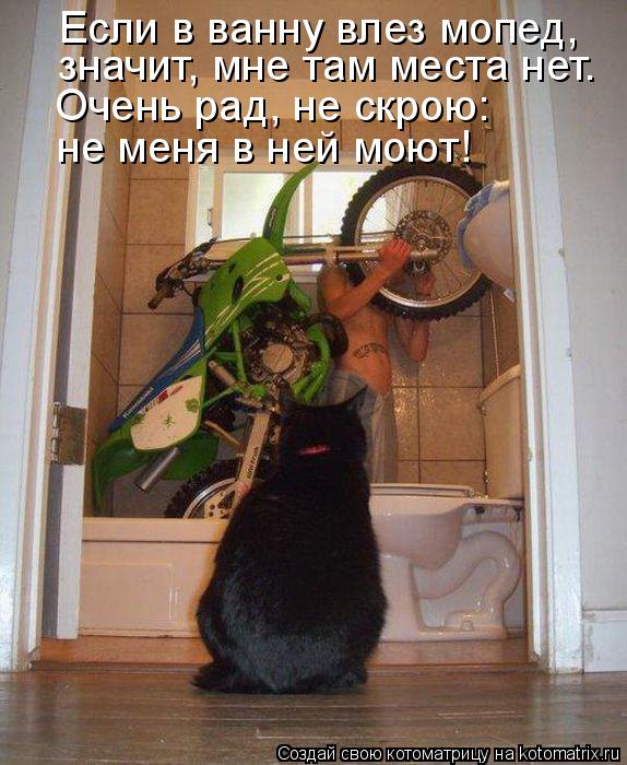 Если в ванну влез мопед, значит, мне там места нет. Очень рад, не скрою: не меня в ней моют!... Котоматрица: Если в ванну влез мопед, значит, мне там места нет. Очень рад, не скрою: не меня в ней моют!