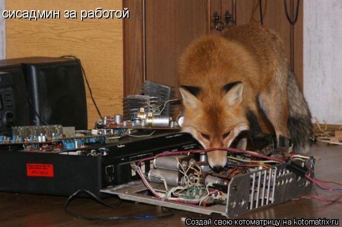 сисадмин за работой... Котоматрица: сисадмин за работой