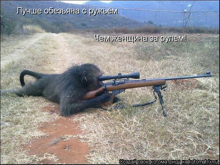 Лучше обезьяна с ружьём. Чем женщина за рулём!... Котоматрица: Лучше обезьяна с ружьём. Чем женщина за рулём!