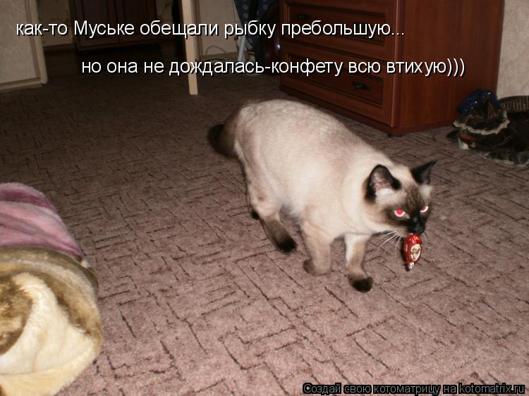 как-то Муське обещали рыбку пребольшую... но она не дождалась-конфету всю втихую)))... Котоматрица: как-то Муське обещали рыбку пребольшую... но она не дождалась-конфету всю втихую)))