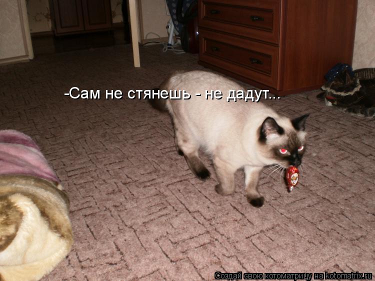 -Сам не стянешь - не дадут...... Котоматрица: -Сам не стянешь - не дадут...