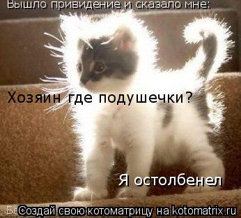 Вышло привидение и сказало мне: Вышло привидение и сказало мне: Хозяин где подушечки? Я остолбенел... Котоматрица: Вышло привидение и сказало мне: Вышло привидение и сказало мне: Хозяин где подушечки? Я остолбенел