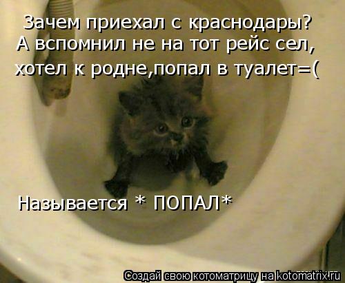 Зачем приехал с краснодары? А вспомнил не на тот рейс сел, хотел к родне,попал в туалет=( Называется ... Котоматрица: Зачем приехал с краснодары? А вспомнил не на тот рейс сел, хотел к родне,попал в туалет=( Называется * ПОПАЛ*