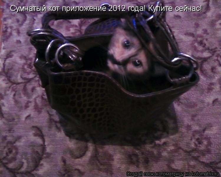 Сумчатый кот приложение 2012 года! Купите сейчас!... Котоматрица: Сумчатый кот приложение 2012 года! Купите сейчас!