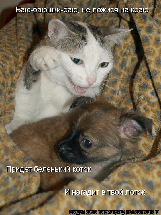 Баю-баюшки-баю, не ложися на краю Придет беленький коток И нагадит в твой лоток.... Котоматрица: Баю-баюшки-баю, не ложися на краю Придет беленький коток И нагадит в твой лоток.