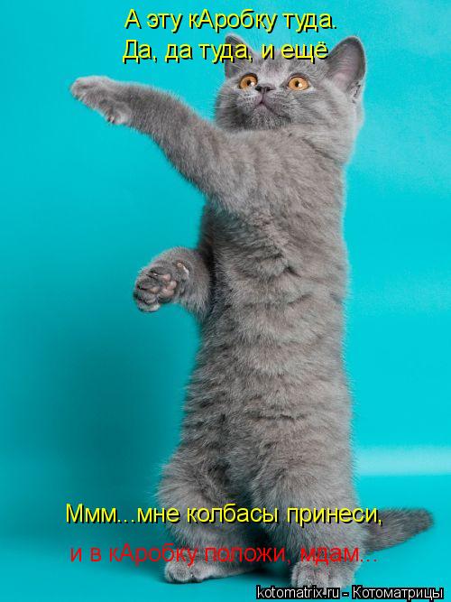 А эту кАробку туда. Да, да туда, и ещё Ммм...мне колбасы принеси, и в кАробку положи, мдам...... Котоматрица: А эту кАробку туда. Да, да туда, и ещё Ммм...мне колбасы принеси, и в кАробку положи, мдам...