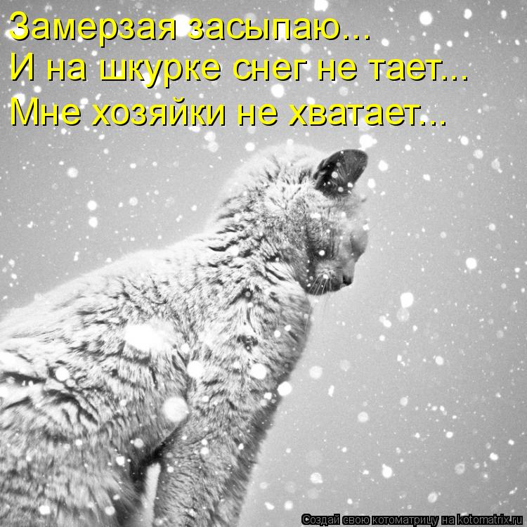 Замерзая засыпаю... И на шкурке снег не тает... Мне хозяйки не хватает...... Котоматрица: Замерзая засыпаю... И на шкурке снег не тает... Мне хозяйки не хватает...