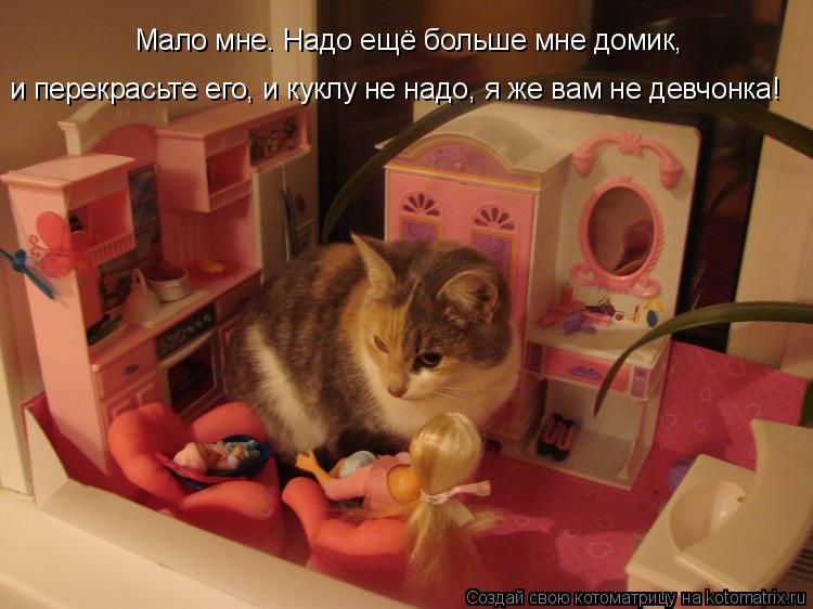 Мало мне. Надо ещё больше мне домик, и перекрасьте его, и куклу не надо, я же вам не девчонка!... Котоматрица: Мало мне. Надо ещё больше мне домик, и перекрасьте его, и куклу не надо, я же вам не девчонка!