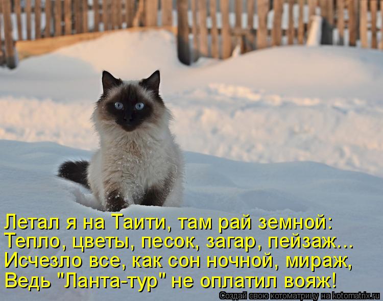 Летал я на Таити, там рай земной: Тепло, цветы, песок, загар, пейзаж... Исчезло все, как сон ночной... Котоматрица: Летал я на Таити, там рай земной: Тепло, цветы, песок, загар, пейзаж... Исчезло все, как сон ночной, мираж, Ведь "Ланта-тур" не оплатил вояж!