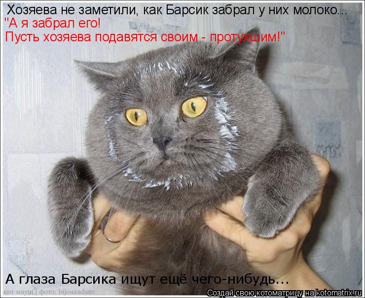 Хозяева не заметили, как Барсик забрал у них молоко... "А я забрал его! Пусть хозяева подавятся своим... Котоматрица: Хозяева не заметили, как Барсик забрал у них молоко... "А я забрал его! Пусть хозяева подавятся своим - протухшим!" А глаза Барсика ищут ещё чег