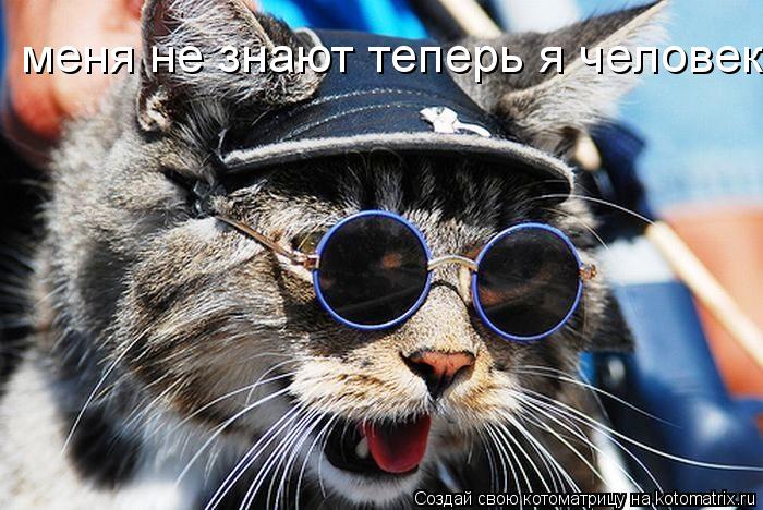 меня не знают теперь я человек... Котоматрица: меня не знают теперь я человек