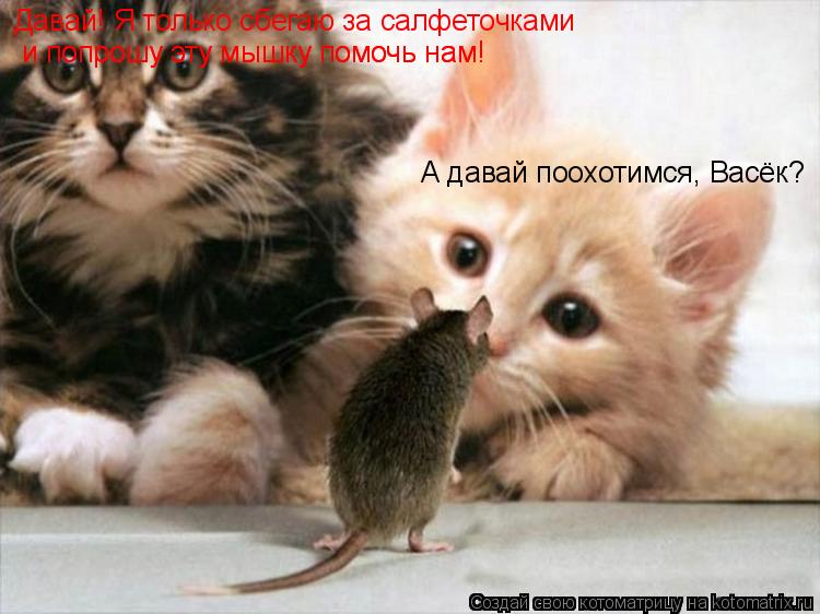 А давай поохотимся, Васёк? Давай! Я только сбегаю за салфеточками и попрошу эту мышку помочь нам! и... Котоматрица: А давай поохотимся, Васёк? Давай! Я только сбегаю за салфеточками и попрошу эту мышку помочь нам! и попрошу эту мышку помочь нам!