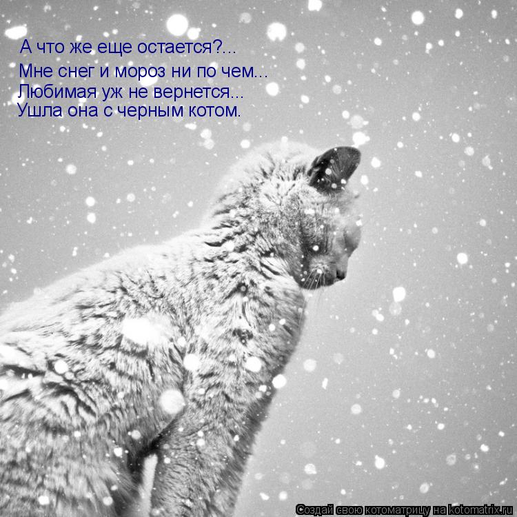 А что же еще остается?... Мне снег и мороз ни по чем... Любимая уж не вернется... Ушла она с черным к... Котоматрица: А что же еще остается?... Мне снег и мороз ни по чем... Любимая уж не вернется... Ушла она с черным котом.