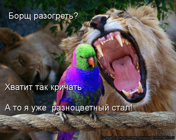 Борщ разогреть? Хватит так кричать А то я уже разноцветный стал!... Котоматрица: Борщ разогреть? Хватит так кричать А то я уже разноцветный стал!