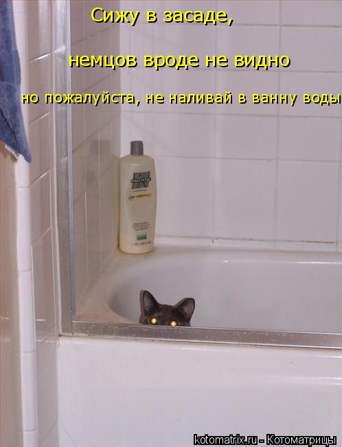 Сижу в засаде, немцов вроде не видно но пожалуйста, не наливай в ванну воды... Котоматрица: Сижу в засаде, немцов вроде не видно но пожалуйста, не наливай в ванну воды