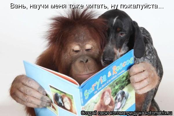 Вань, научи меня тоже читать, ну пожалуйста...... Котоматрица: Вань, научи меня тоже читать, ну пожалуйста...