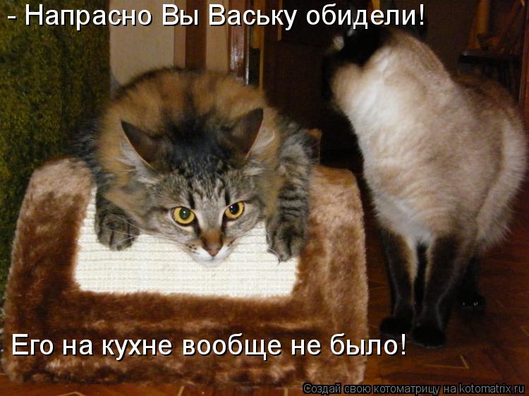 - Напрасно Вы Ваську обидели! Его на кухне вообще не было!... Котоматрица: - Напрасно Вы Ваську обидели! Его на кухне вообще не было!