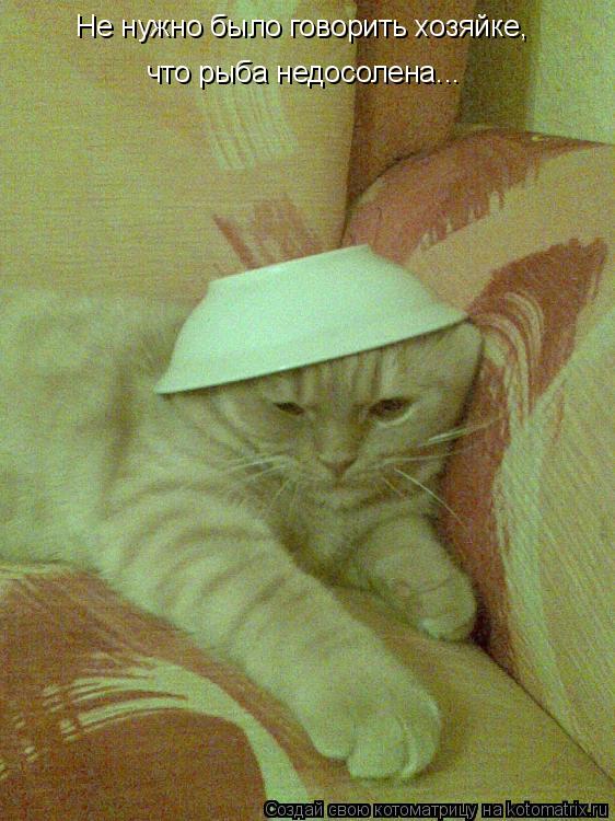 Котоматрица: Не нужно было говорить хозяйке, что рыба недосолена...
