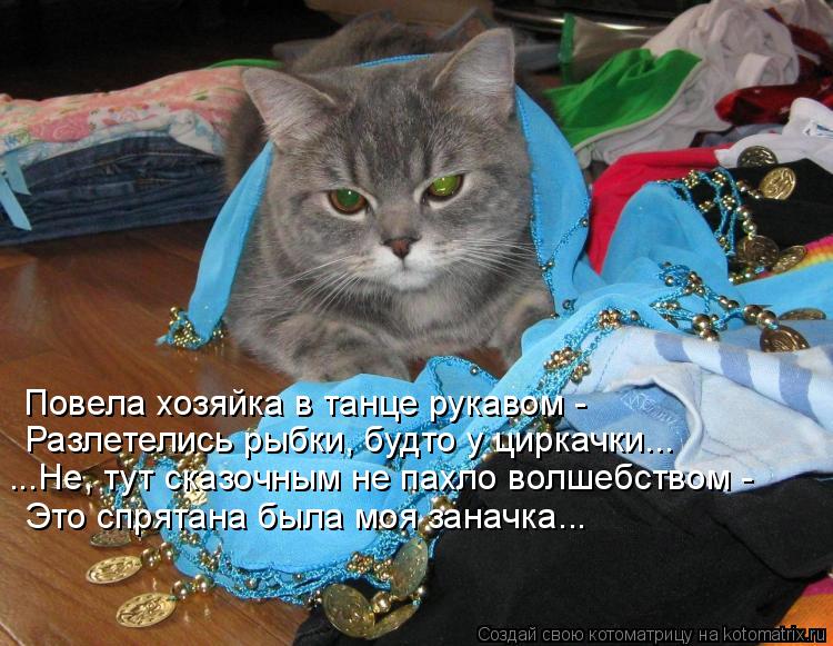 Котоматрица: Повела хозяйка в танце рукавом - Разлетелись рыбки, будто у циркачки... ...Не, тут сказочным не пахло волшебством - Это спрятана была моя занач