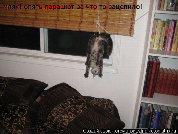 мляу! опять парашют за что то зацепило! мляу! опять парашют за что то зацепило! мляу! опять парашют з... Котоматрица: мляу! опять парашют за что то зацепило! мляу! опять парашют за что то зацепило! мляу! опять парашют за что то зацепило!