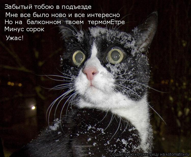 Мне все было ново и все интересно Но на балконном твоем термомЕтре Забытый тобою в подъезде Ужас... Котоматрица: Мне все было ново и все интересно Но на балконном твоем термомЕтре Забытый тобою в подъезде Ужас! Минус сорок