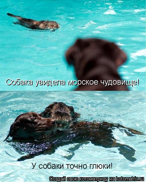 Собака увидела морское чудовище! У собаки точно глюки!... Котоматрица: Собака увидела морское чудовище! У собаки точно глюки!