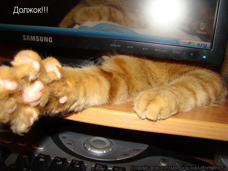 Должок!!!... Котоматрица: Должок!!!