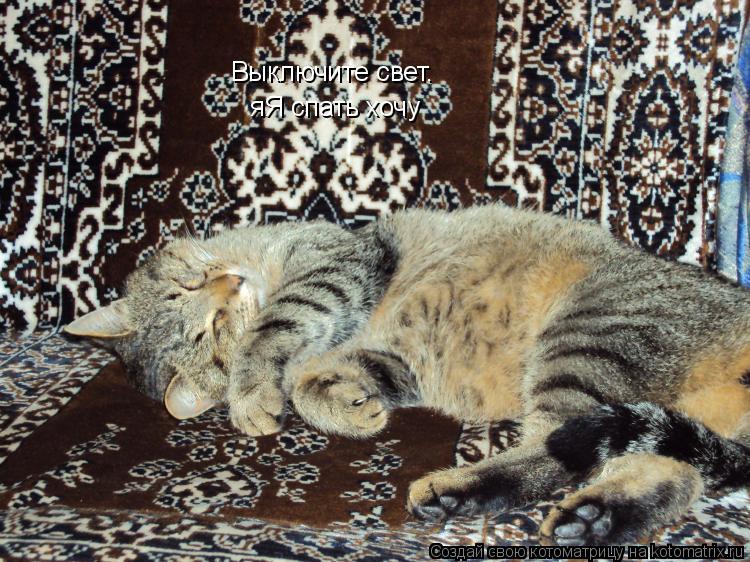 Выключите свет. яЯ спать хочу... Котоматрица: Выключите свет. яЯ спать хочу