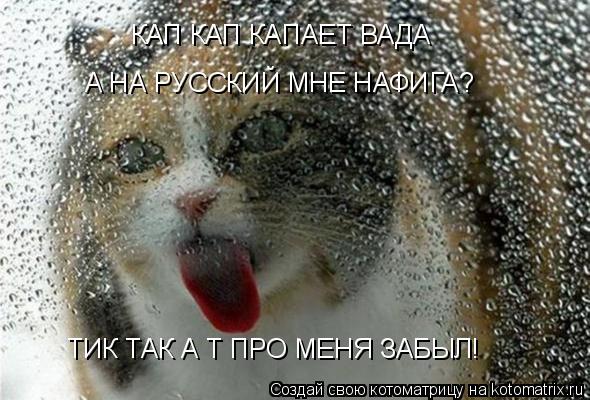 КАП КАП КАПАЕТ ВАДА А НА РУССКИЙ МНЕ НАФИГА? ТИК ТАК А Т ПРО МЕНЯ ЗАБЫЛ!... Котоматрица: КАП КАП КАПАЕТ ВАДА А НА РУССКИЙ МНЕ НАФИГА? ТИК ТАК А Т ПРО МЕНЯ ЗАБЫЛ!
