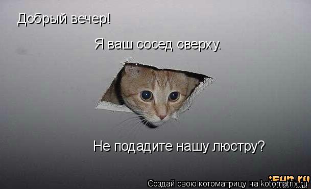 Добрый вечер! Я ваш сосед сверху. Не подадите нашу люстру?... Котоматрица: Добрый вечер! Я ваш сосед сверху. Не подадите нашу люстру?