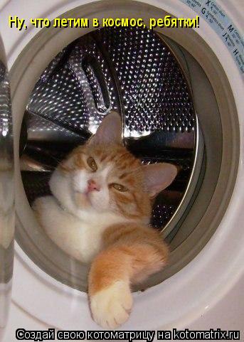 Ну, что летим в космос, ребятки!... Котоматрица: Ну, что летим в космос, ребятки!