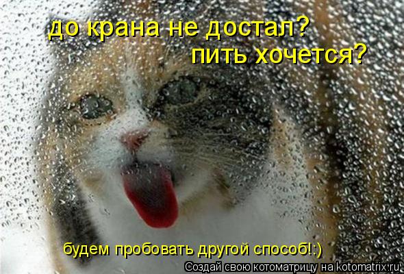 до крана не достал? пить хочется? будем пробовать другой способ!:)... Котоматрица: до крана не достал? пить хочется? будем пробовать другой способ!:)