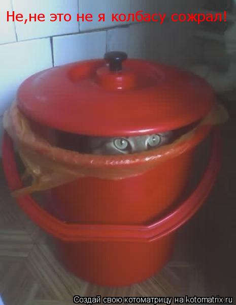 Не,не это не я колбасу сожрал!... Котоматрица: Не,не это не я колбасу сожрал!