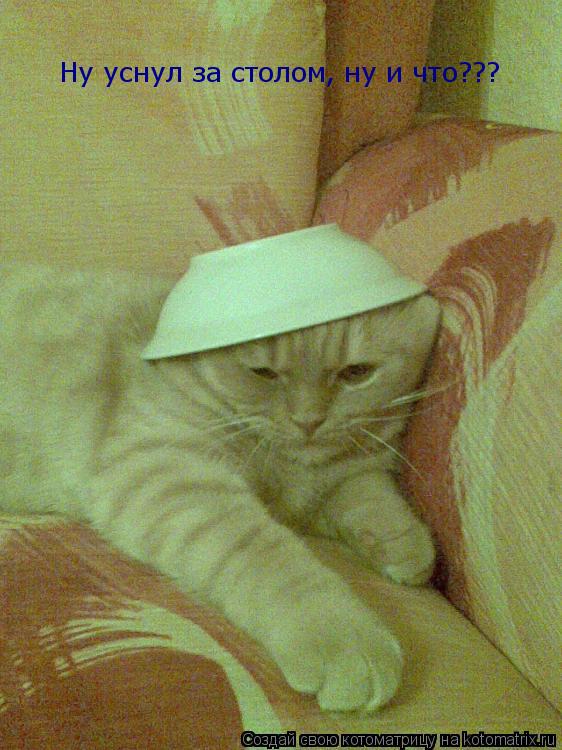 Ну уснул за столом, ну и что???... Котоматрица: Ну уснул за столом, ну и что???