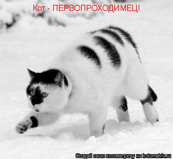 Кот - ПЕРВОПРОХОДИМЕЦ!... Котоматрица: Кот - ПЕРВОПРОХОДИМЕЦ!