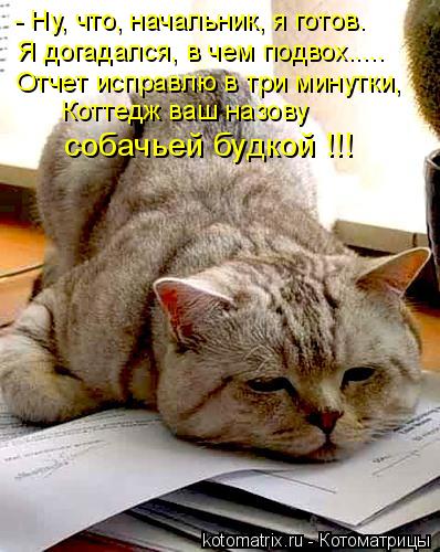 Котоматрица: - Ну, что, начальник, я готов. Я догадался, в чем подвох..... Отчет исправлю в три минутки, Коттедж ваш назову  собачьей будкой !!!
