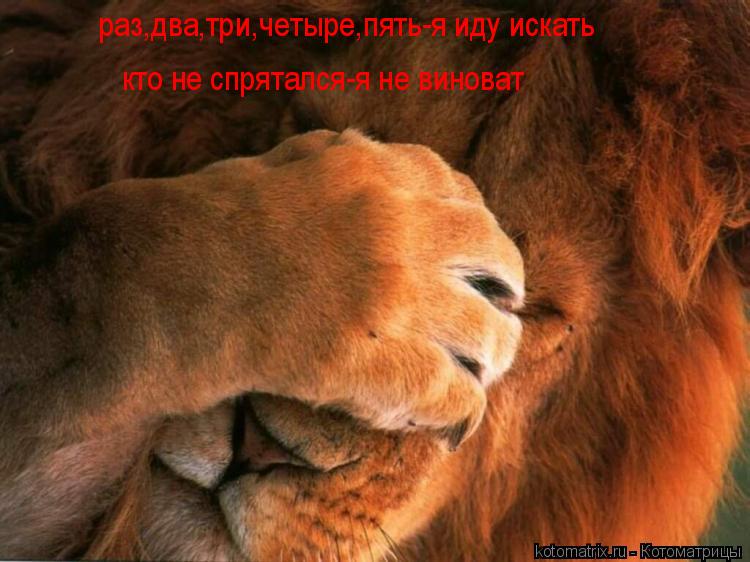 Котоматрица: раз,два,три,четыре,пять-я иду искать кто не спрятался-я не виноват