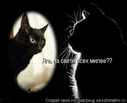 Котоматрица: Яль на свете всех милее??