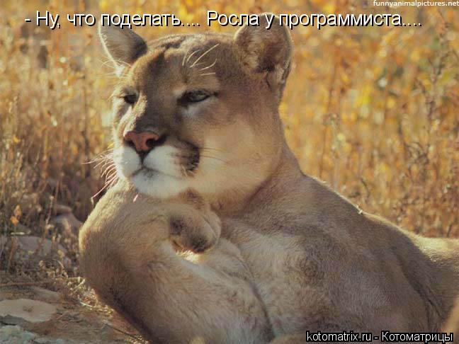 Котоматрица: - Ну, что поделать.... Росла у программиста....