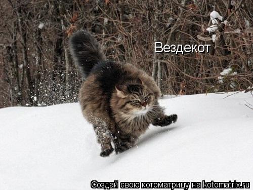 Котоматрица: Вездекот