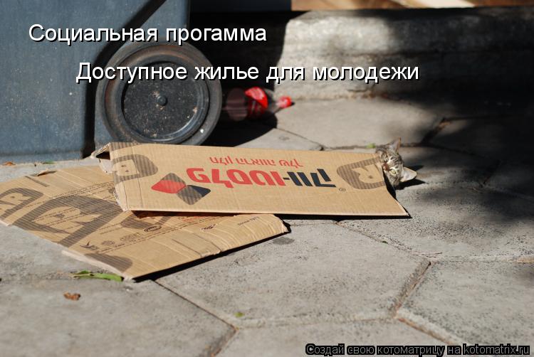 Котоматрица: Социальная прогамма Доступное жилье для молодежи