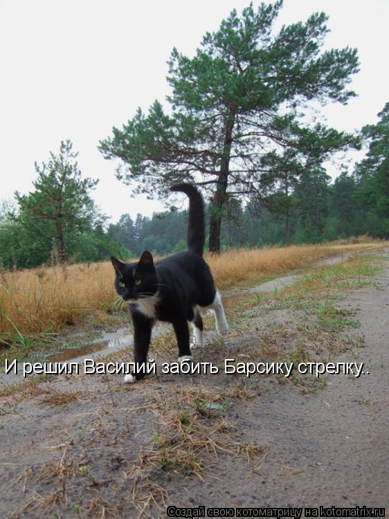 Котоматрица: И решил Василий забить Барсику стрелку..